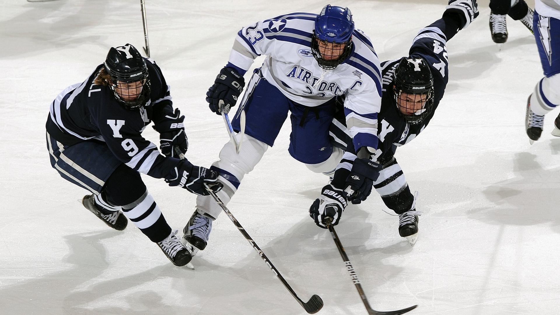 特色青训园区“绿色+智能”成为行业“新宠”,基础平台不断完善